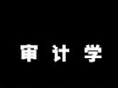 審計(jì)學(xué)